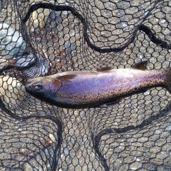 今年最後の釣り